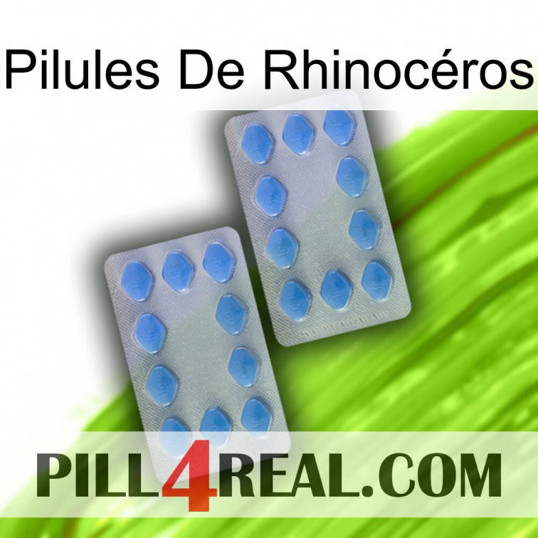 Pilules De Rhinocéros 20